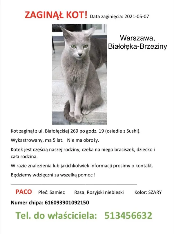 Zaginął kot, Warszawa, 9 maja 2021 (1/5)