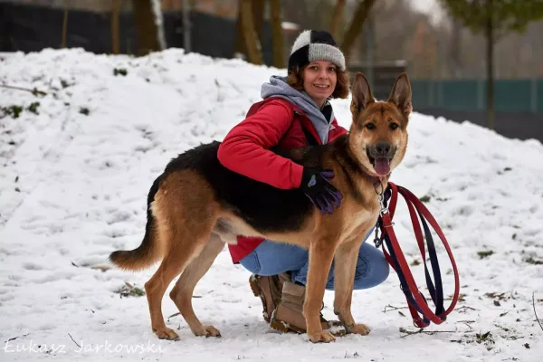 Pies do adopcji, Warszawa, 17 maja 2022 (4/5)