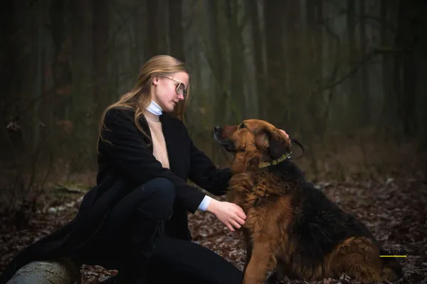 Pies do adopcji, Przyborówko, 28 grudnia 2025 (2/5)