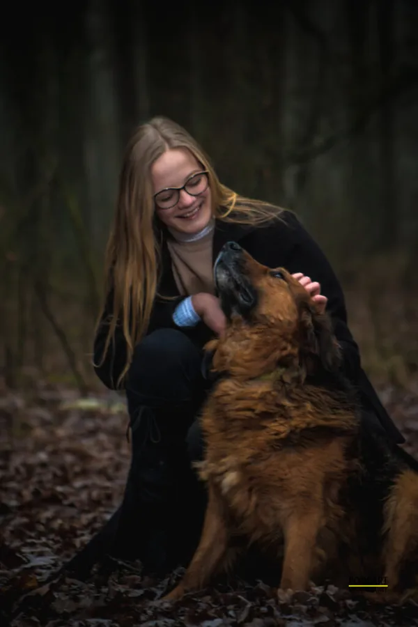 Pies do adopcji, Przyborówko, 28 grudnia 2025 (3/5)