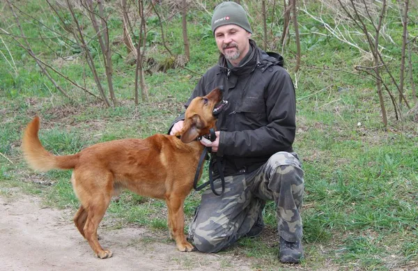 Pies do adopcji, Przyborówko, 22 kwietnia 2017 (2/4)