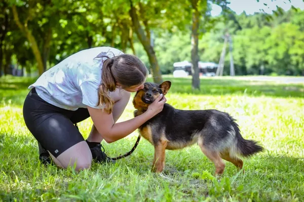 Pies do adopcji, Radom, 13 września 2024 (2/5)