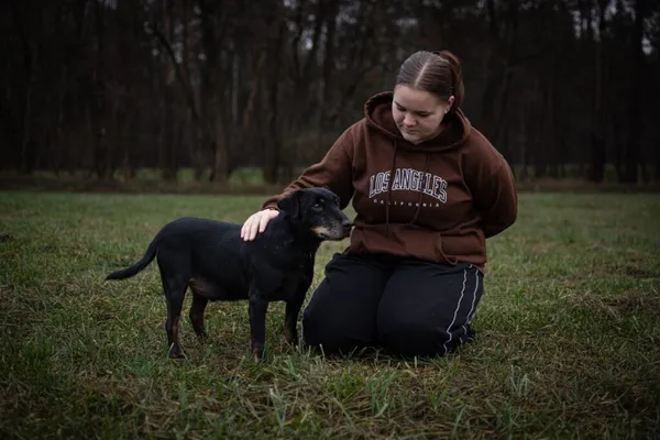 Pies do adopcji, Radom, 16 czerwca 2025 (3/5)