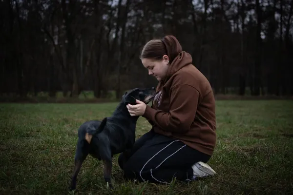 Pies do adopcji, Radom, 16 czerwca 2025 (5/5)