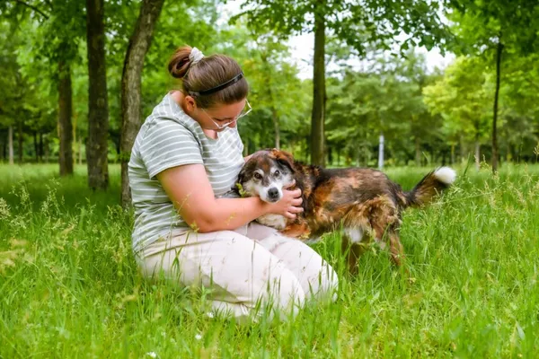 Pies do adopcji, Radom, 22 lipca 2025 (3/5)