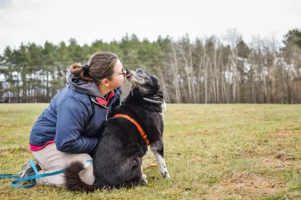Pies do adopcji, Radom, 4 lutego 2025 (4/5)