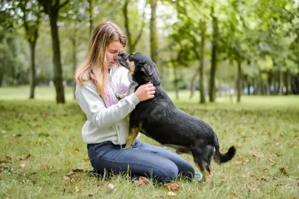 Pies do adopcji, Radom, 16 października 2025 (4/5)