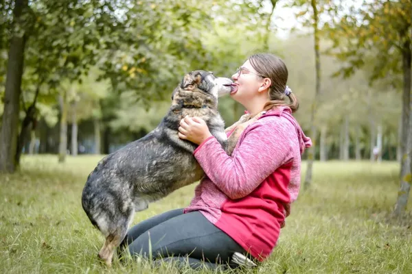 Pies do adopcji, Radom, 18 września 2025 (4/5)