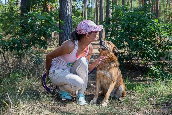 Pies do adopcji, Piła, 13 lutego 2020 (2/4)