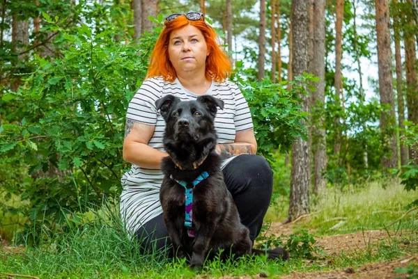 Pies do adopcji, Piła, 7 czerwca 2019 (4/5)