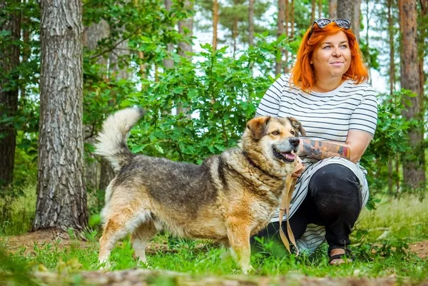 Pies do adopcji, Piła, 22 lipca 2015 (5/5)