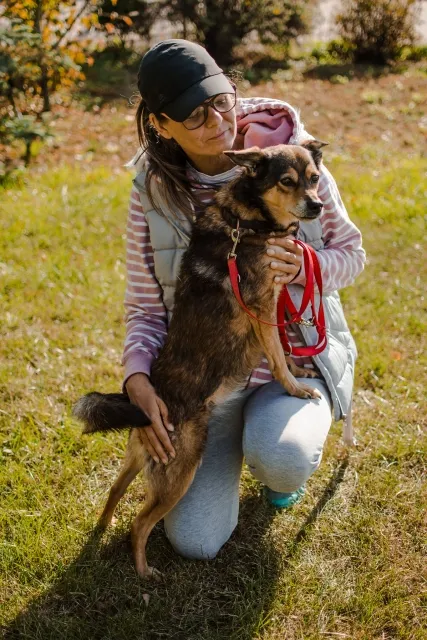 Pies do adopcji, Piła, 7 października 2014 (2/5)