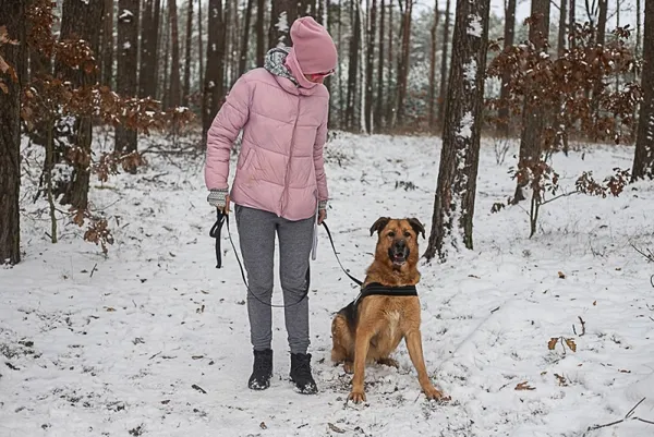 Pies do adopcji, Piła, 16 marca 2021 (4/5)