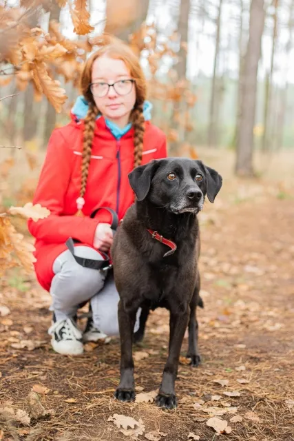 Pies do adopcji, Piła, 16 kwietnia 2016 (3/3)