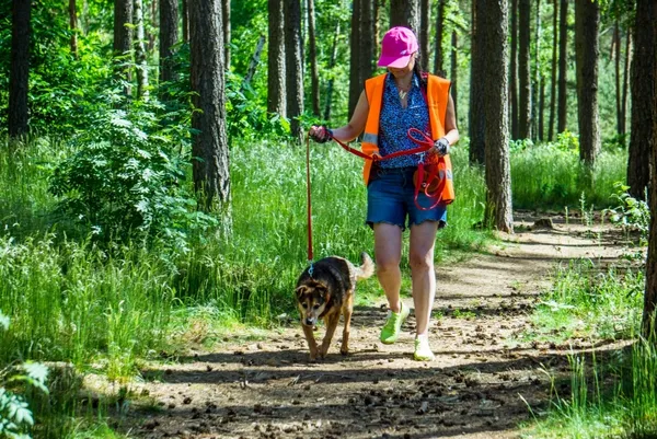 Pies do adopcji, Piła, 14 kwietnia 2019 (3/5)