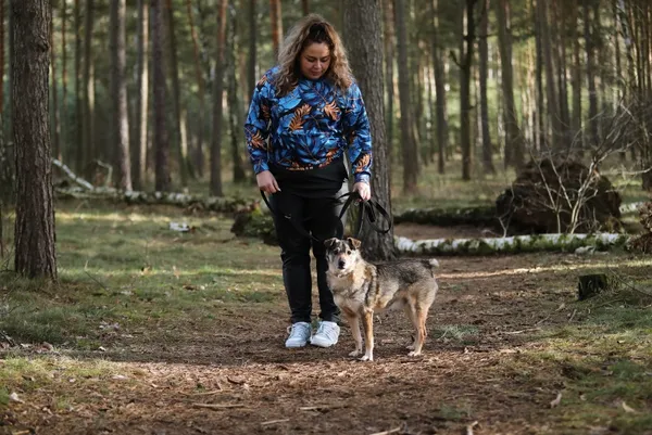 Pies do adopcji, Piła, 13 kwietnia 2019 (3/5)