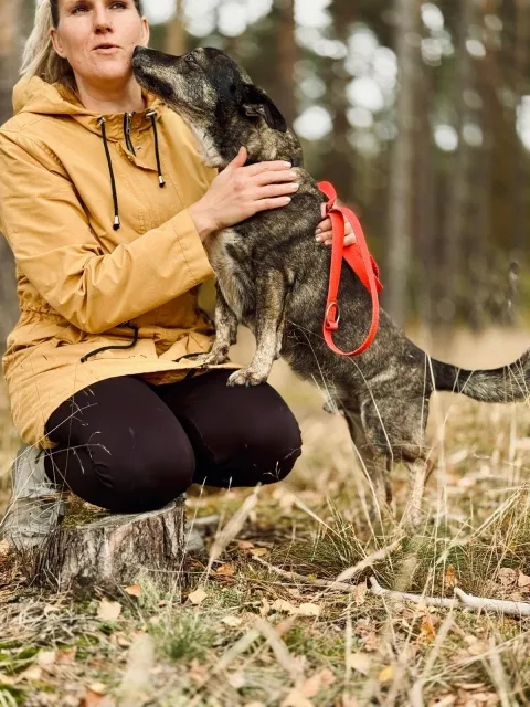 Pies do adopcji, Piła, 30 marca 2018 (4/5)