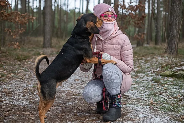 Pies do adopcji, Piła, 10 czerwca 2018 (2/5)