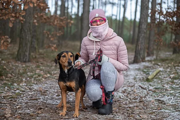 Pies do adopcji, Piła, 10 czerwca 2018 (3/5)