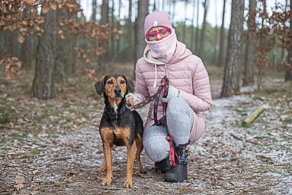 Pies do adopcji, Piła, 10 czerwca 2018 (4/5)