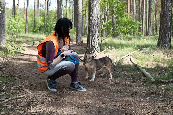 Pies do adopcji, Piła, 13 kwietnia 2019 (2/5)