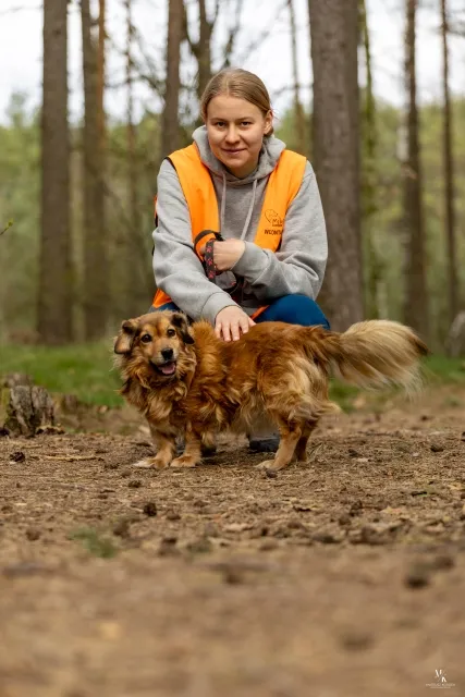 Pies do adopcji, Piła, 27 kwietnia 2022 (5/5)