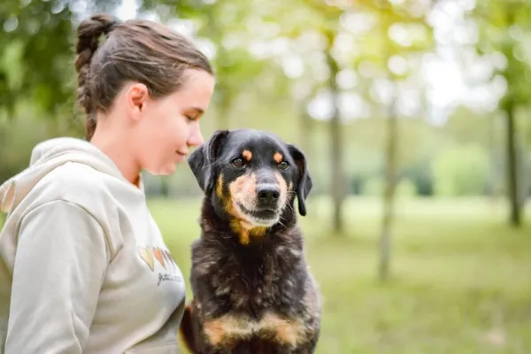 Pies do adopcji, Radom, 16 października 2025 (1/5)