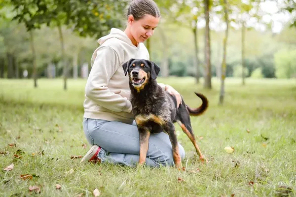Pies do adopcji, Radom, 16 października 2025 (4/5)