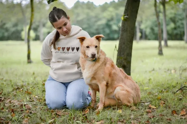 Pies do adopcji, Radom, 21 września 2025 (4/5)