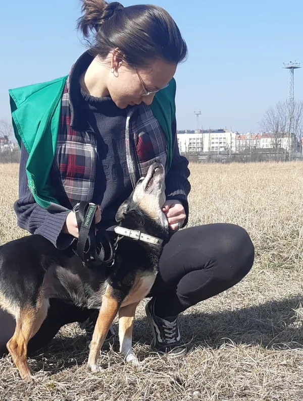 Pies do adopcji, Opole, 14 marca 2022 (4/5)