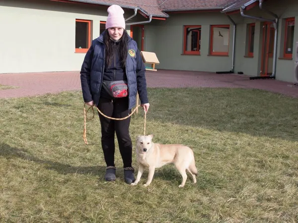 Pies do adopcji, Skałowo, 14 lutego 2021 (5/5)