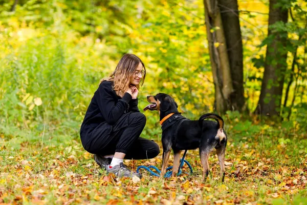 Pies do adopcji, Elbląg, 23 sierpnia 2022 (4/5)