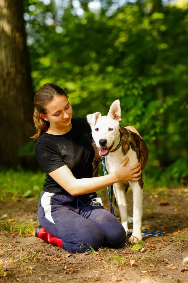 Pies do adopcji, Elbląg, 21 sierpnia 2022 (1/5)