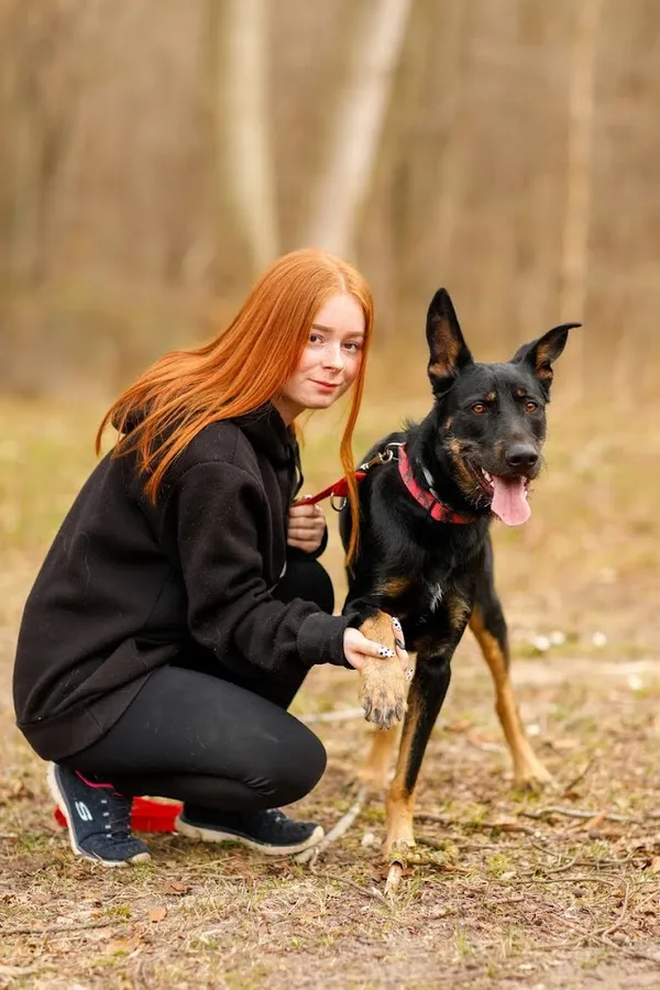 Pies do adopcji, Elbląg, 13 kwietnia 2022 (1/5)