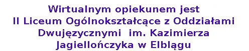 Kot do adopcji, Elbląg, 11 lutego 2022 (5/5)