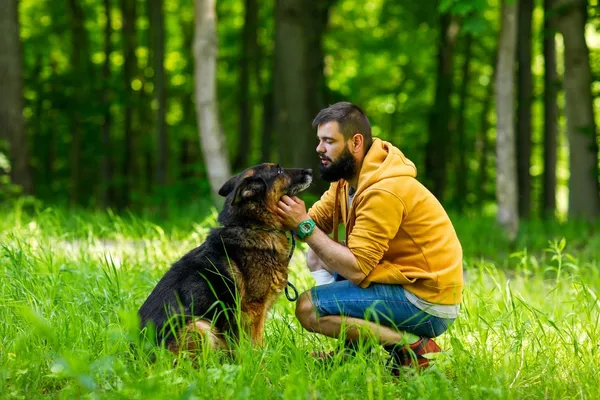 Pies do adopcji, Elbląg, 31 maja 2021 (4/5)