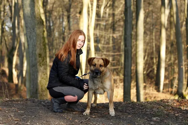 Pies do adopcji, Elbląg, 17 stycznia 2020 (3/5)