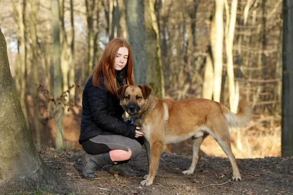 Pies do adopcji, Elbląg, 17 stycznia 2020 (4/5)