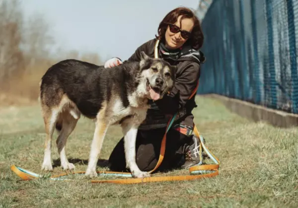 Pies do adopcji, Warszawa, 20 stycznia 2021 (1/5)