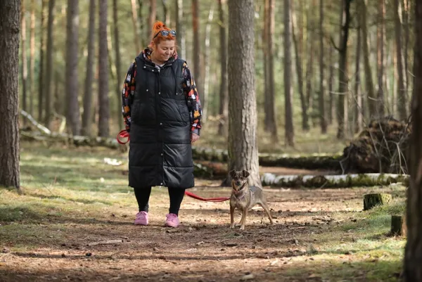 Pies do adopcji, Piła, 11 kwietnia 2022 (5/5)