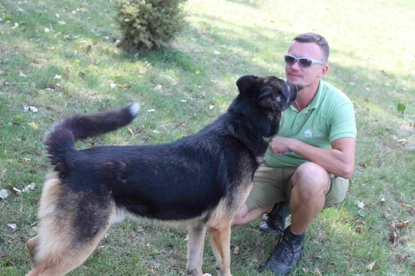 Pies do adopcji, Bełchatów, 10 kwietnia 2019 (5/5)