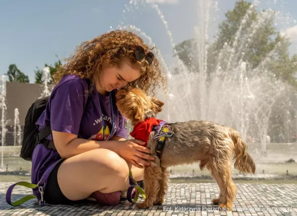 Pies do adopcji, Warszawa, 23 sierpnia 2022 (5/5)