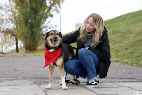 Pies do adopcji, Warszawa, 19 października 2020 (5/5)