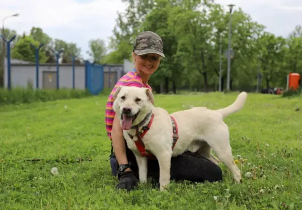 Pies do adopcji, Warszawa, 27 sierpnia 2020 (1/5)