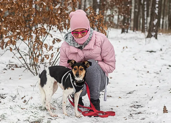 Pies do adopcji, Piła, 31 maja 2022 (1/4)