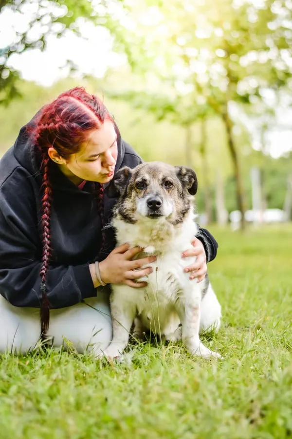Pies do adopcji, Radom, 7 września 2026 (2/5)