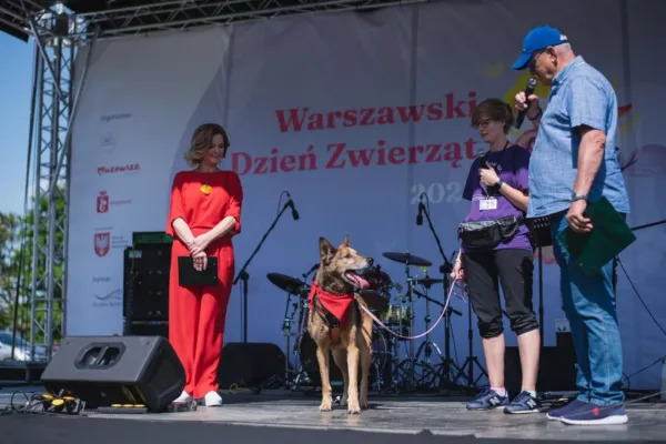 Pies do adopcji, Warszawa, 12 kwietnia 2022 (5/5)