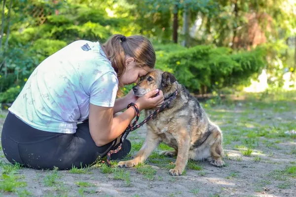 Pies do adopcji, Radom, 4 października 2024 (5/5)