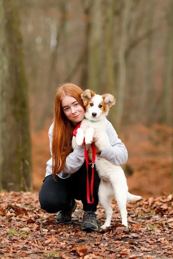 Pies do adopcji, Elbląg, 22 grudnia 2022 (2/5)