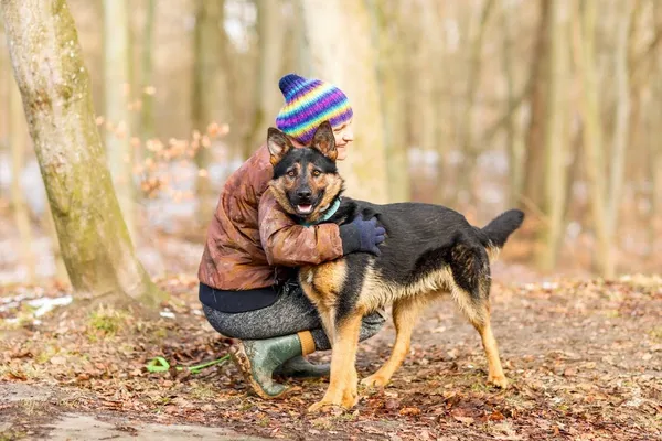 Pies do adopcji, Elbląg, 4 stycznia 2023 (2/5)